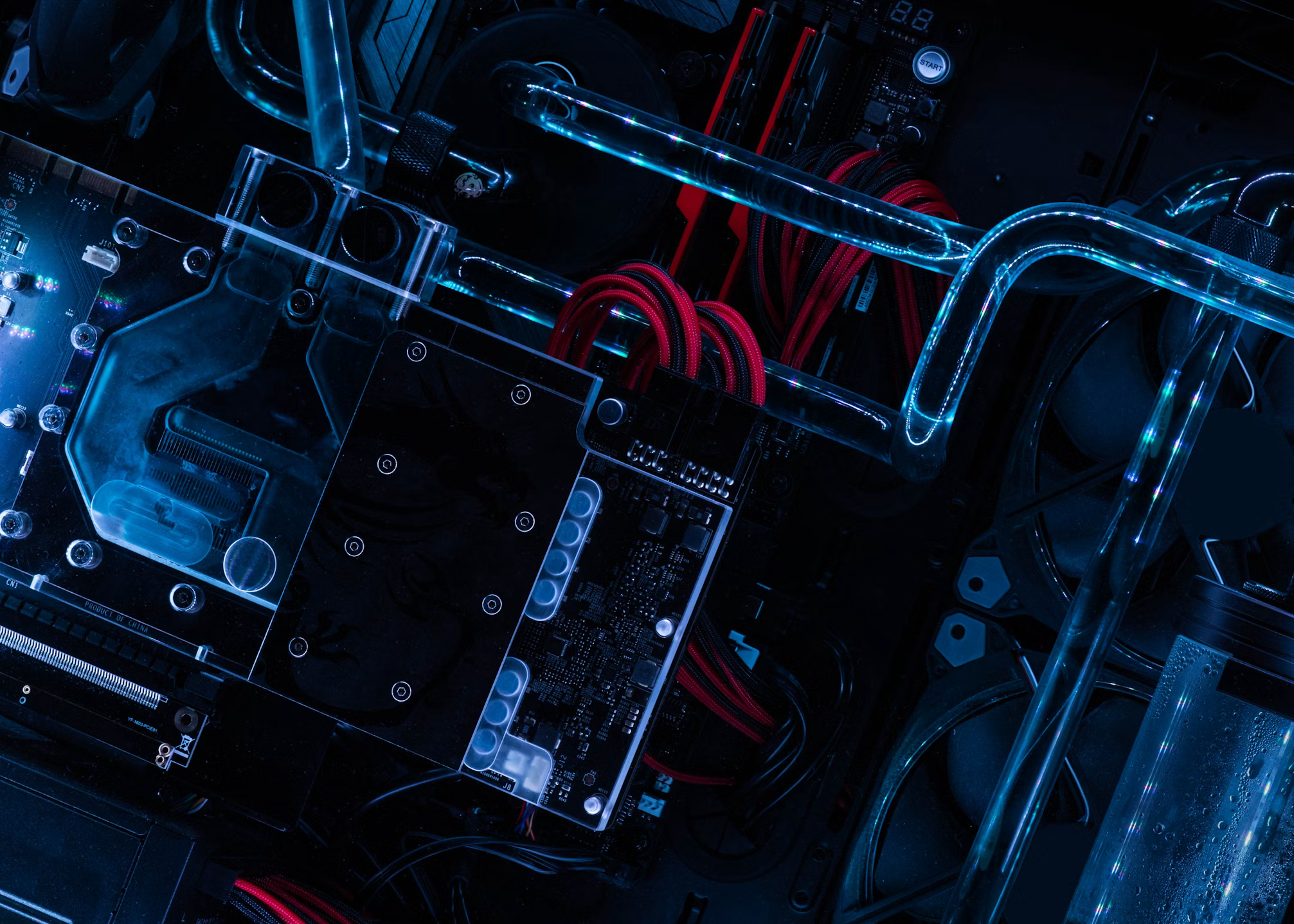 Performance Image #6